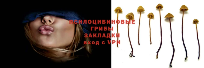 гидропоника Михайловка