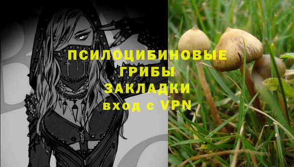 мескалин Михайлов